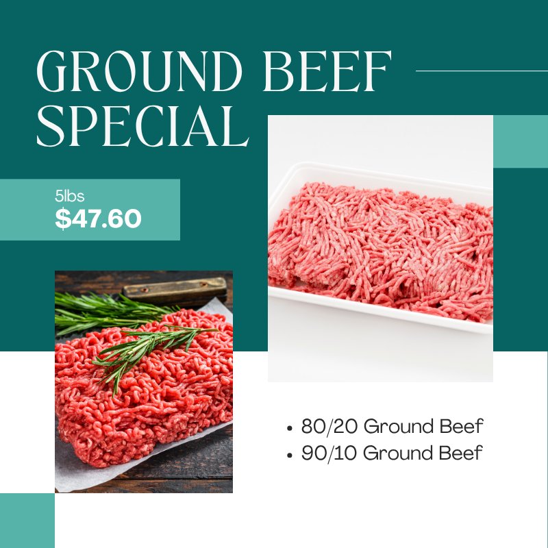 Ground Beef Special